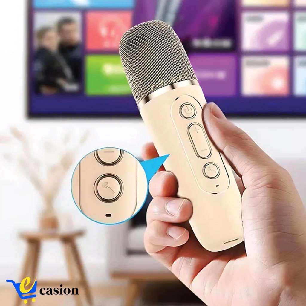 Mini Haut-Parleur Bluetooth Portable avec Deux Micros – Karaoké Nomade et Son Stéréo