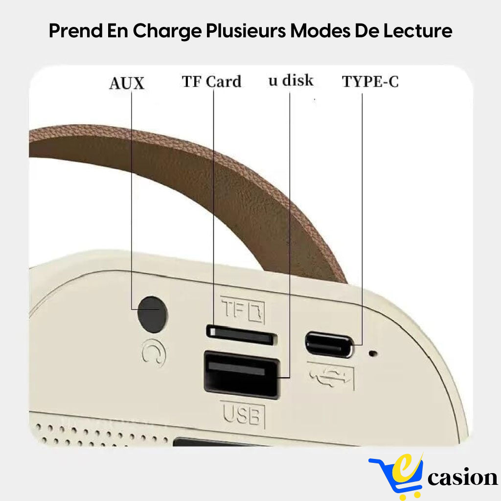 Mini Haut-Parleur Bluetooth Portable avec Deux Micros – Karaoké Nomade et Son Stéréo